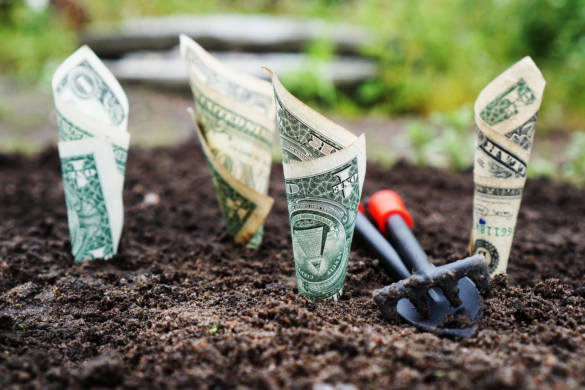 dividend aandelen